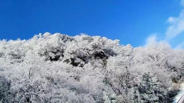 暗黑精灵幽影重重